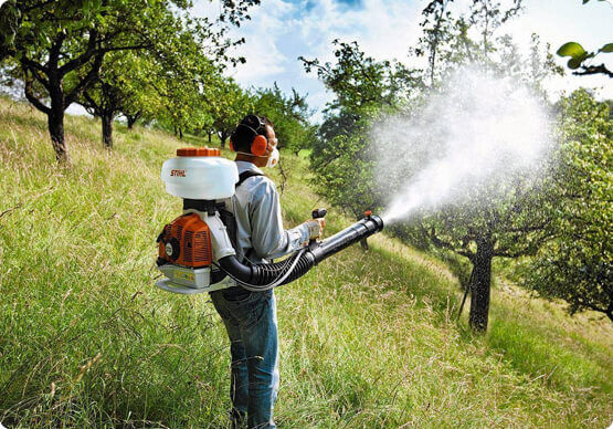 Обеззараживание территории