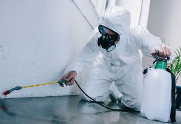 Дезинсекция на предприятиях